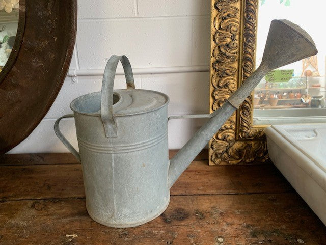 Rustic European Vintage  Galvenized Watering Can  #5595  Byron