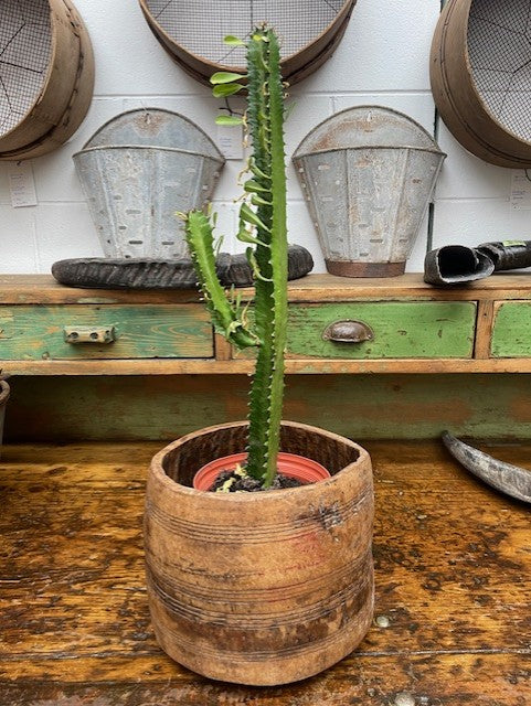 Vintage  Wooden  Bowl /  Planter #6228   Byron