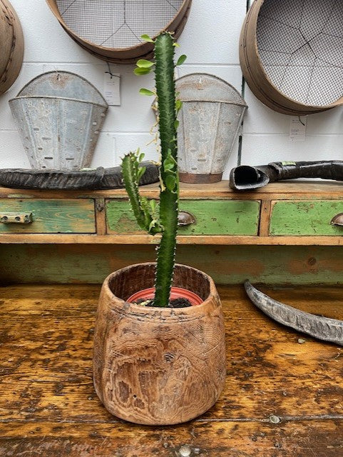 Vintage  Wooden  Bowl /  Planter #6229   Byron